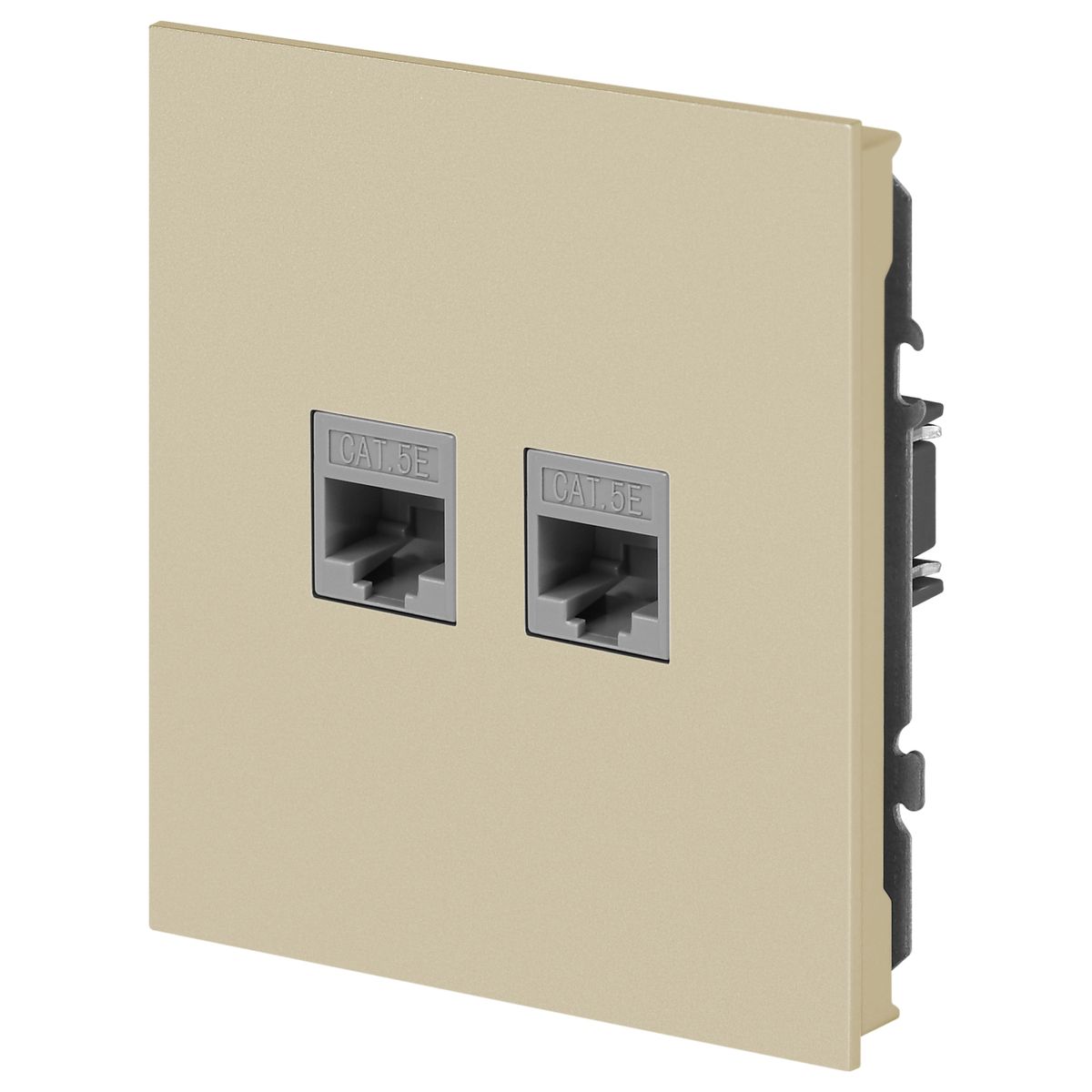 фото розетка эра arktik 16-3108-04 информационная двойная 2xrj45 шампань б0070487 | 220svet.ru