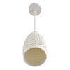 Миниатюра фото подвесной светильник lumion canestra 8350/1b белый | 220svet.ru