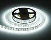 Миниатюра фото светодиодная лента холодный белый ambrella light 24w/m 240led/m 2835smd 6500к 5m gs3703 | 220svet.ru