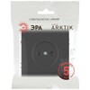 Миниатюра фото розетка эра arktik 16-2106-05 без заземления 2p 16а-250в антрацит б0071677 | 220svet.ru
