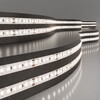 Миниатюра фото светодиодная лента 180led 12вт ip20 4000k дневной белый, 5м elektrostandard 2835 24v 180led 12w | 220svet.ru
