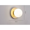 Миниатюра фото настенно-потолочный светильник topdecor ringo a1 33 | 220svet.ru