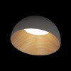 Миниатюра фото потолочный светодиодный светильник loft it egg 10197/350 grey | 220svet.ru