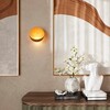 Миниатюра фото настенный светодиодный светильник odeon light vela 7004/7wl | 220svet.ru