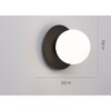 Миниатюра фото настенно-потолочный светильник topdecor ringo a1 12 | 220svet.ru
