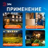 Миниатюра фото прожектор светодиодный уличный эра lpr-042-2-65k-050 б0064292 | 220svet.ru