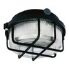 Миниатюра фото настенно-потолочный светильник tdm electric нпп 03-100-005.04 sq0311-0002 | 220svet.ru