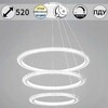 Миниатюра фото светильник потолочный reluce 86067-0.4-03 | 220svet.ru