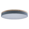 Миниатюра фото потолочный светильник loft it axel 10001/36 grey | 220svet.ru