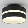 Миниатюра фото потолочный светильник ambrella light tn5421 | 220svet.ru