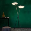 Миниатюра фото торшер alfa light f0224-04 | 220svet.ru