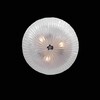 Миниатюра фото потолочный светильник lightstar zucche 820830 | 220svet.ru