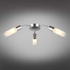 Миниатюра фото потолочная люстра omnilux lavarone oml-28707-03 | 220svet.ru