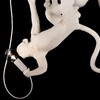 Миниатюра фото подвесной светильник loft it monkey 10314 white | 220svet.ru
