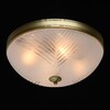 Миниатюра фото потолочный светильник mw-light афродита 317015004 | 220svet.ru