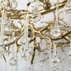 Миниатюра фото подвесная люстра loft it 10351/1000 ab | 220svet.ru