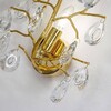 Миниатюра фото бра favourite pluvia 4162-1w | 220svet.ru