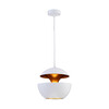 Миниатюра фото подвесной светильник loft it apple loft2213-a | 220svet.ru