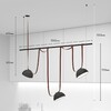 Миниатюра фото трековая ременная система denkirs belty set dk55set05-01-br | 220svet.ru