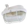 Миниатюра фото настенно-потолочный светильник tdm electric евро нбп 02-60-019.01 sq0312-0007 | 220svet.ru