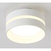 Миниатюра фото потолочный светильник ambrella light tn5419 | 220svet.ru