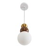 Миниатюра фото подвесной светильник lumion bonbones 8257/1 золото/коричневый | 220svet.ru