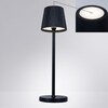 Миниатюра фото уличный светодиодный светильник arte lamp fuyue a1616lt-1bk | 220svet.ru