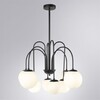 Миниатюра фото потолочная люстра на штанге arte lamp mebsuta a1675lm-8bk | 220svet.ru