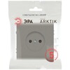 Миниатюра фото розетка эра arktik 16-2106-07 без заземления 2p 16а-250в титан б0071679 | 220svet.ru