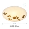 Миниатюра фото настенно-потолочный светильник apeyron 16-182 | 220svet.ru