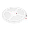 Миниатюра фото гибкий неон elektrostandard 10w/m 120led/m 2835smd холодный белый 5m a056260 | 220svet.ru
