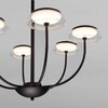 Миниатюра фото подвесная светодиодная люстра eurosvet fungo 50388 led черный | 220svet.ru