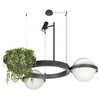 Миниатюра фото подвесной светодиодный светильник loft it jardin 10121/2 dark grey | 220svet.ru