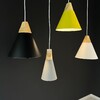 Миниатюра фото подвесной светильник imperium loft xd-b 178212-26 | 220svet.ru