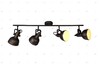 Миниатюра фото спот arte lamp martin a5215pl-4br | 220svet.ru