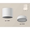 Миниатюра фото комплект накладного светильника ambrella light techno spot xs7401041 swh/fr белый песок/белый матовый (c7401, n7120) | 220svet.ru