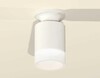 Миниатюра фото комплект потолочного светильника ambrella light techno spot xc (n6901, c6301, n6248) xs6301104 | 220svet.ru