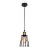 Миниатюра фото подвесной светильник loft it ancient cage loft1114 | 220svet.ru