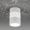 Миниатюра фото потолочный точечный светильник elektrostandard dls025 | 220svet.ru