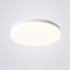 Миниатюра фото потолочный светодиодный светильник imperium loft disc 193124-26 | 220svet.ru