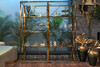 Миниатюра фото стеллаж garda decor gy-sh8711gold прозр/золото | 220svet.ru
