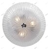 Миниатюра фото потолочный светильник lightstar zucche 820830 | 220svet.ru