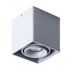 Миниатюра фото потолочный светильник arte lamp pictor a5654pl-1gy | 220svet.ru